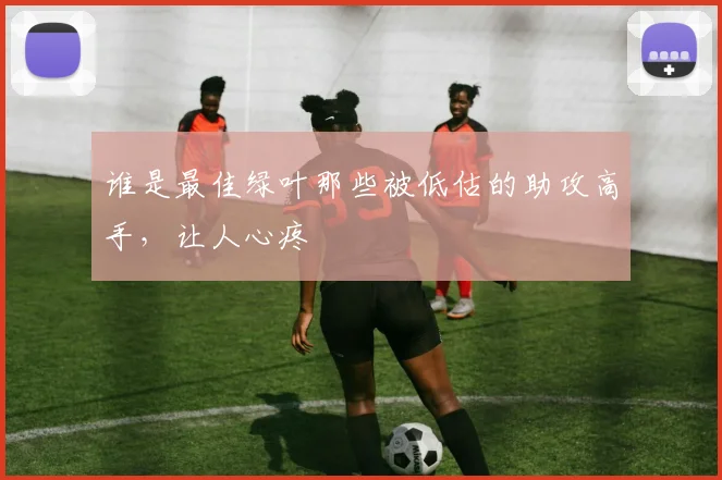谁是最佳绿叶那些被低估的助攻高手,让人心疼
