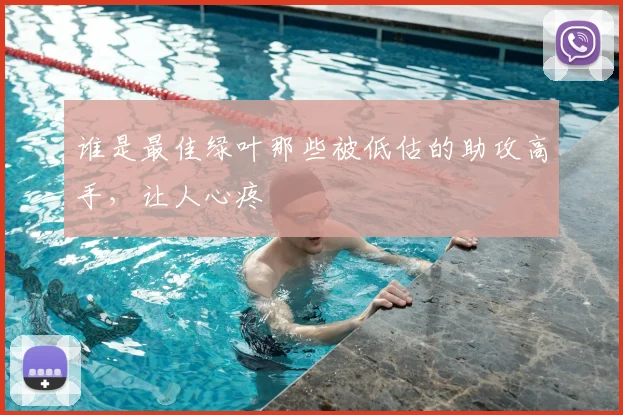 谁是最佳绿叶那些被低估的助攻高手，让人心疼